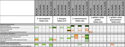 Comparative Proteomics of Meat Spoilage Bacteria Predicts Drivers for Their Coexistence on <mark class="highlighted">Modified Atmosphere</mark> Packaged Meat
